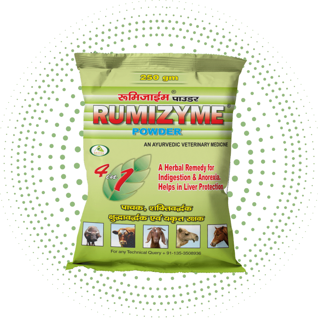 rumen digestive powder for cattle