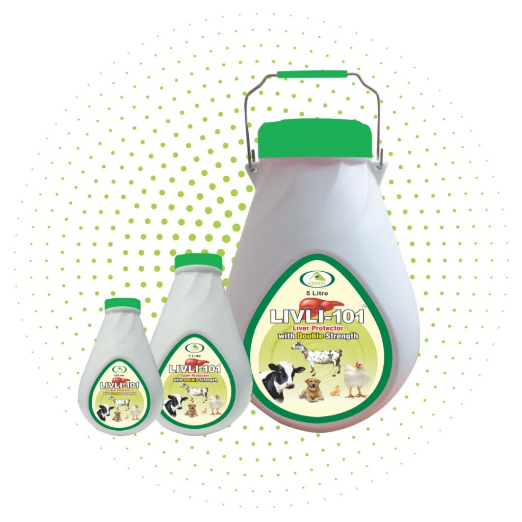 Herbal Liver Tonic for Dairy Animals