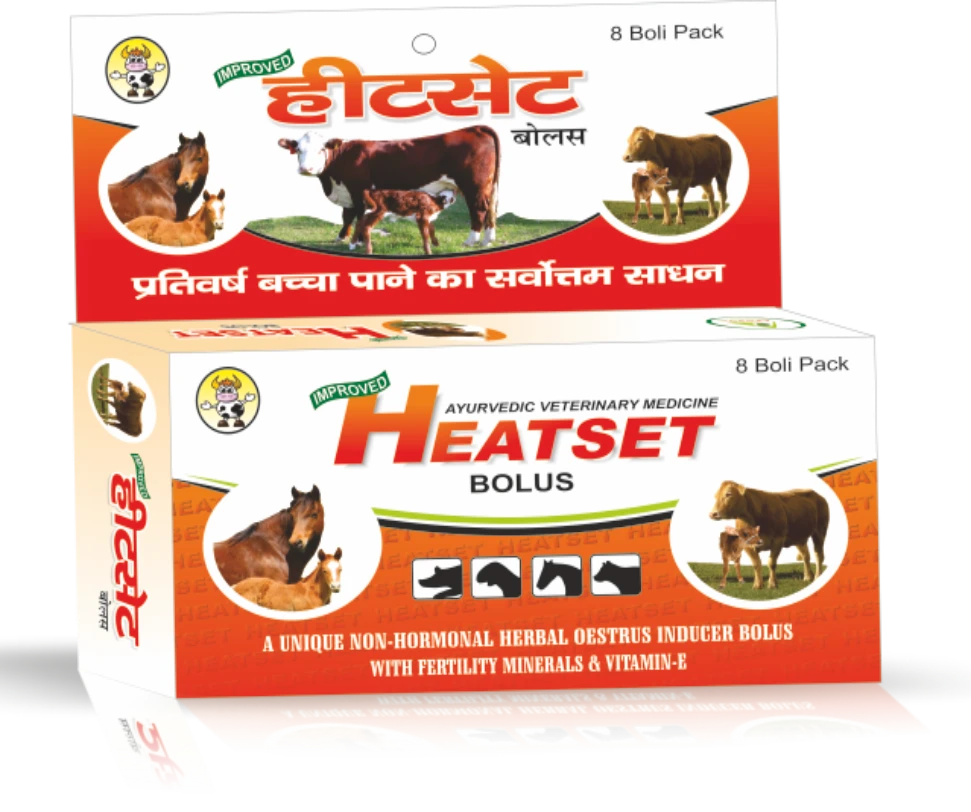 Herbal Heat Inducer for Cattle