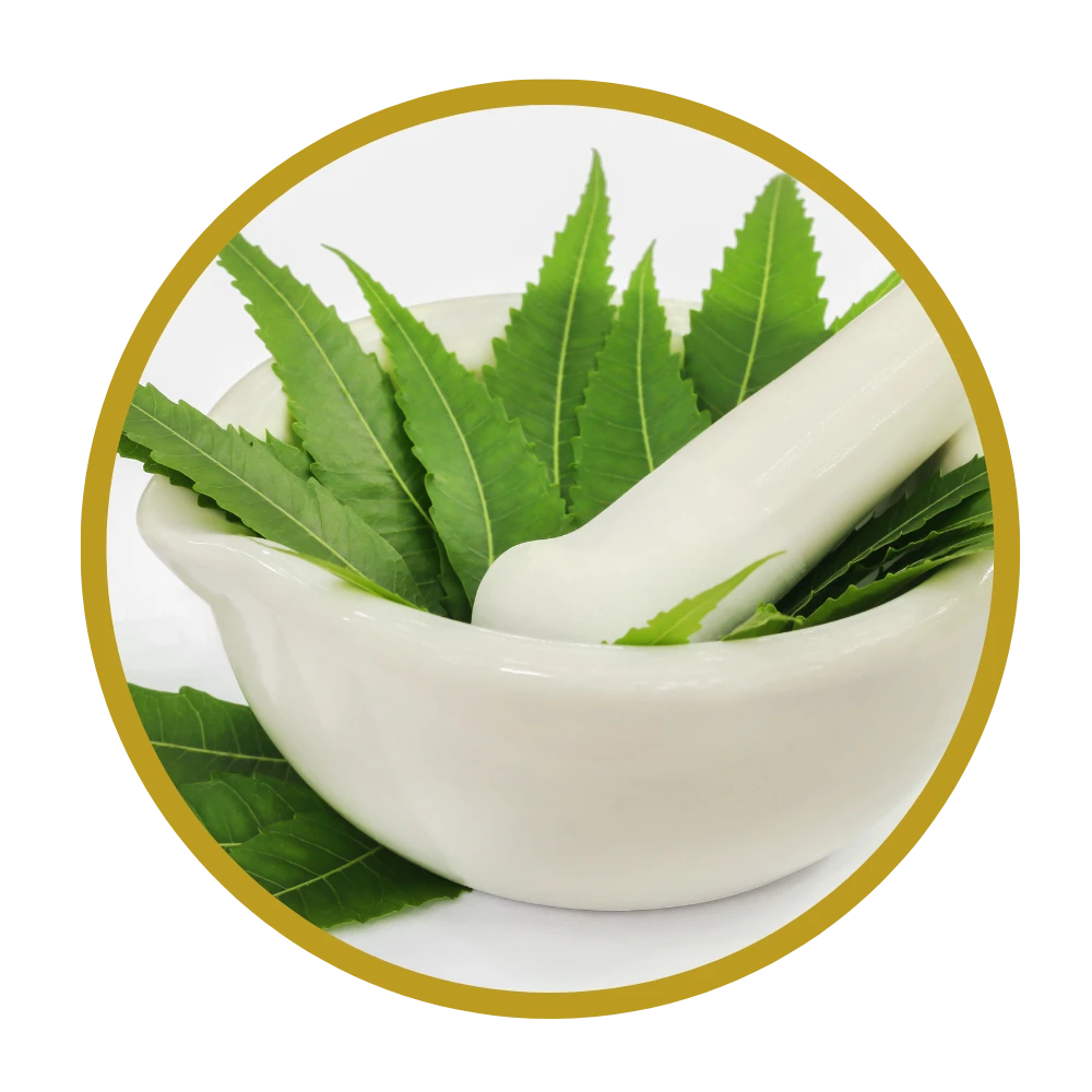 Neem