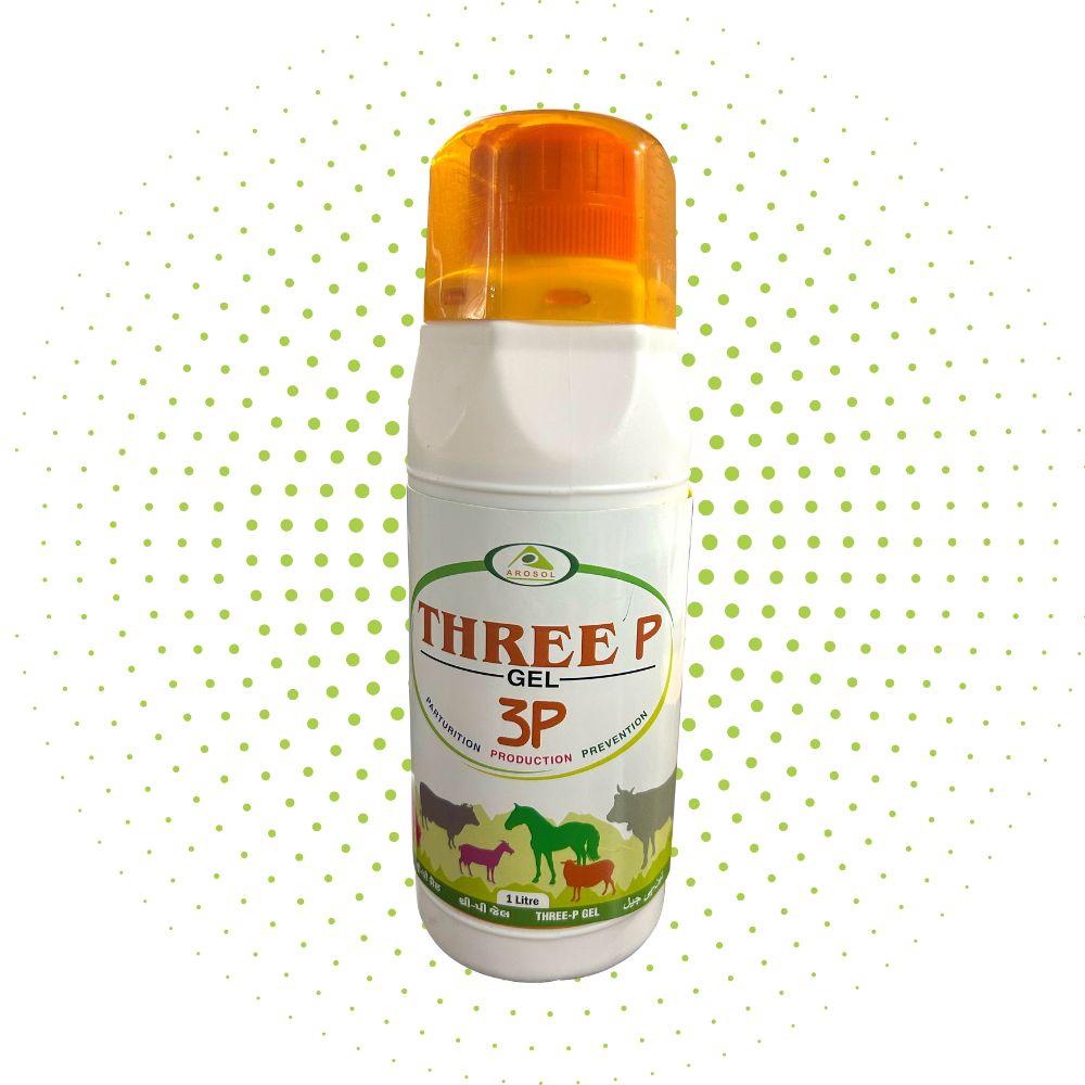 energy supplement for cattle