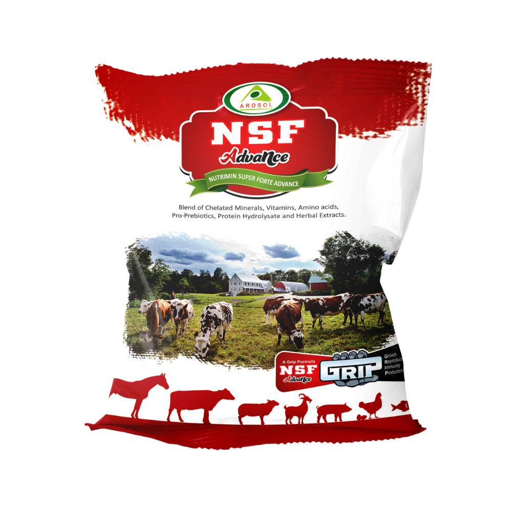 nsf-advance