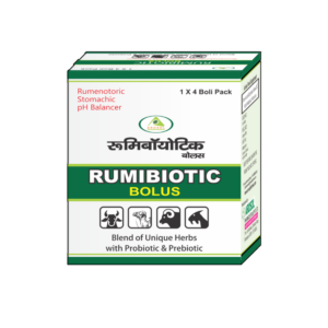 Rumen Digestive Bolus for Cattle