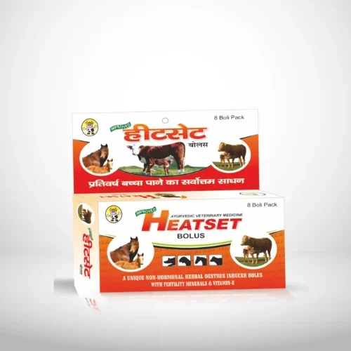 Heatset Bolus